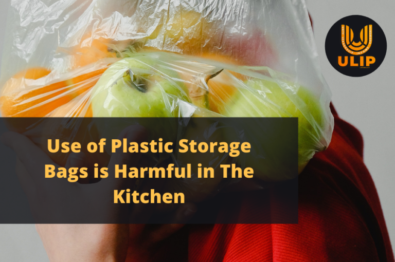 Use of Plastic Storage Bags is Harmful in The Kitchen