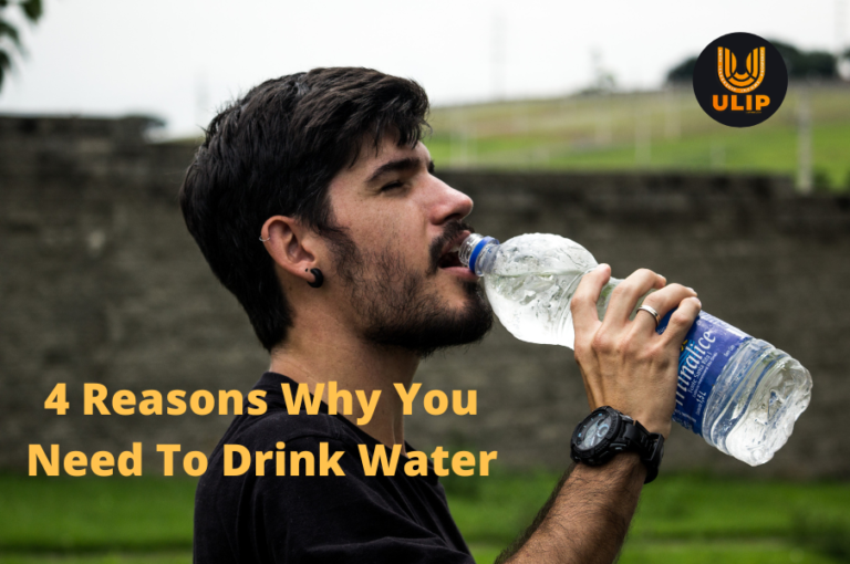 4 Reasons Why You Need To Drink Water