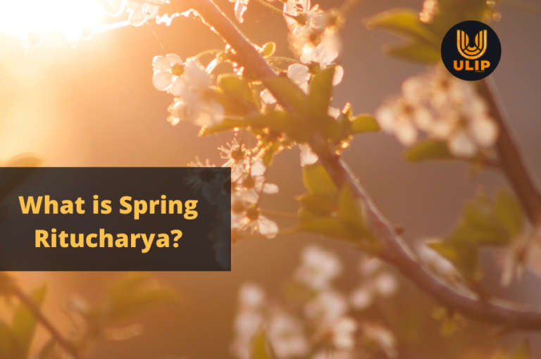 What is Spring Ritucharya?