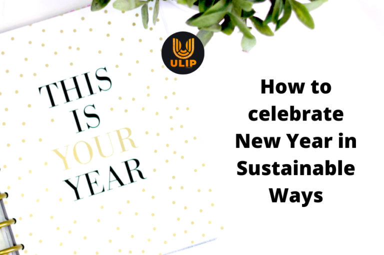 How to celebrate New Year in Sustainable Ways